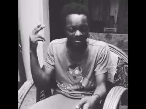 Revoluxon Panda Freestyle