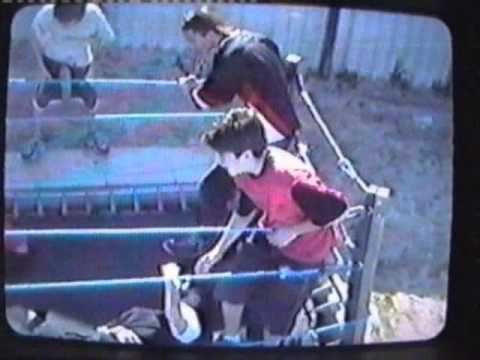 xCw Retribution 2003 - WAR GAMES: Team xWa Vs Team xCw