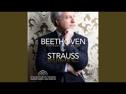 download lagu mp3 mp4 Honeck Beethoven, download lagu Honeck Beethoven gratis, unduh video klip Honeck Beethoven