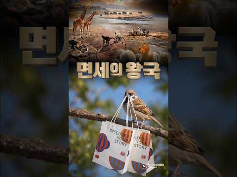 롯데면세점 AI 숏폼·바이럴 사례
