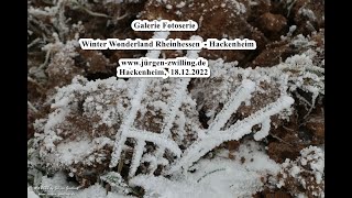 Galerie Fotoserie Winter Wonderland Rheinhessen Hackenheim