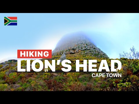 Lions Head Hike Cape Town | Lions Head Wanderung #hiking