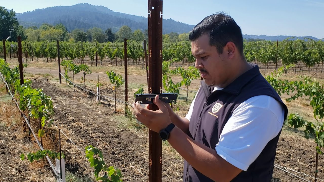 How to install a Crossarm on a Rolled Edge Line Post for vineyards