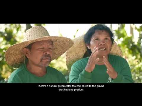 Fortunately, it's not yet too late, thanks to Natural Green Rice Farm in Butuan