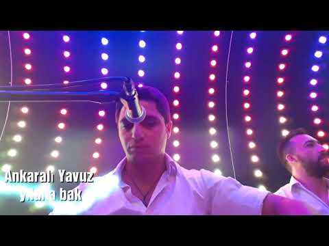 Ankaralı Yavuz ( yılana bak)