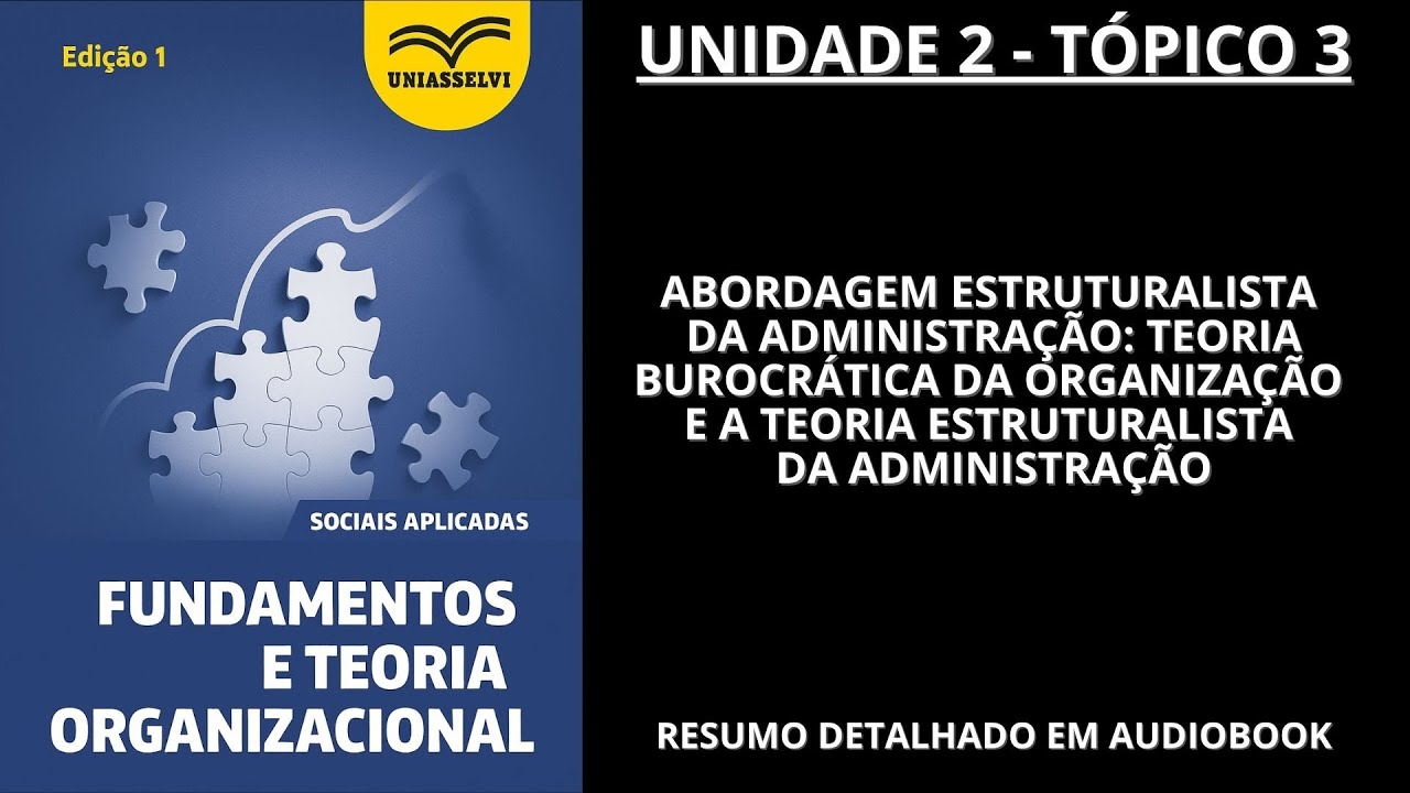 [06] FUNDAMENTOS E TEORIA ORGANIZACIONAL - UNIDADE 2 TÓPICO 3 (resumo em audiobook)
