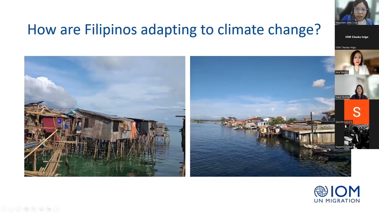 Webinar Series: Human Mobility as Adaptation and Resilience Strategy