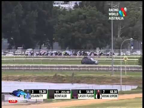 2013.06.08 Queensland Derby - Hawkspur