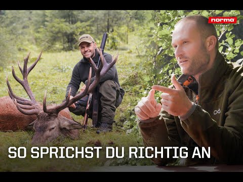 Rotwild richtig bejagen | Profi-Tipps vom Berufsjäger