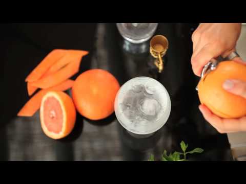 Ziv n' Tonic with classic Zivana Loel