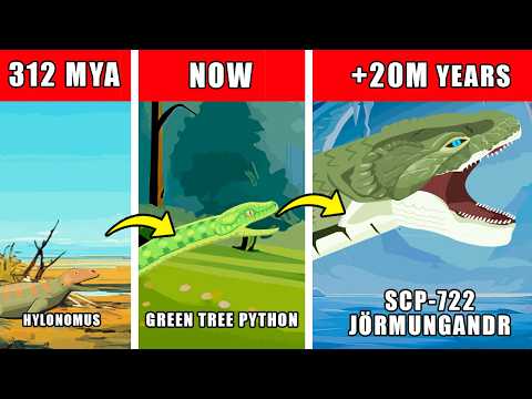 SCP-722 Origin Evolution: How SCP-722 (Jörmungandr) Could Have Evolved