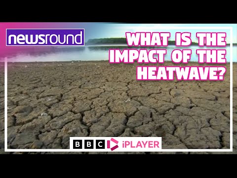 What is the IMPACT of the Heatwave? | Newsround