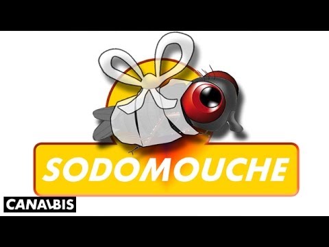 Sodomouche - CANAL BIS