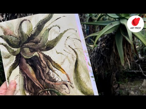 MONSTER Aloe Plant: Watercolor Plein Air Painting in Lisbon, Portugal