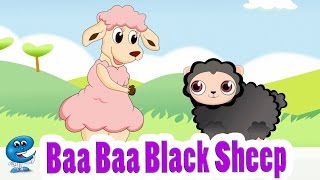Baa Baa Black Sheep(メェメェ黒羊さん)