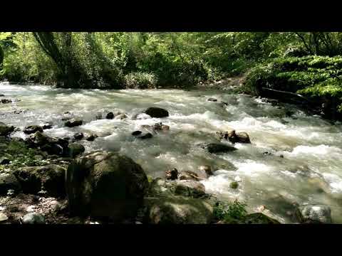 En güzel seslerden olan su sesi. Yok böyle bir güzellik #shorts
