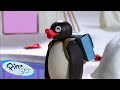 Best Episodes From Season 6 Pingu Official Channel Cartoons For Kids