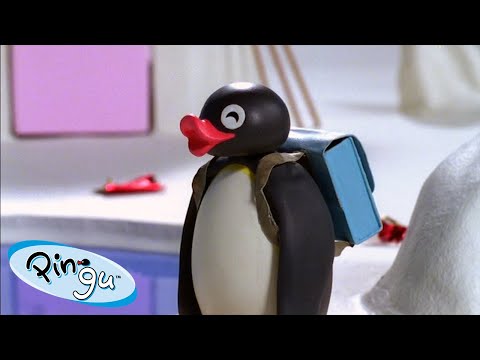 Best Episodes from Season 6 | Pingu – Official Channel | Cartoons For Kids - Kids (0-4), Kingdom Kids Zone - Pingu - Official Channel