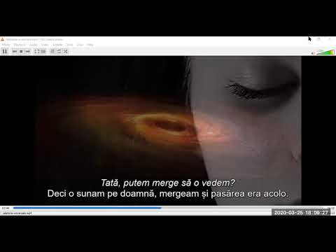 2020 03 25 PM Public Teaching in Romanian - Cursuri publice în română