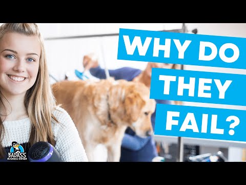 Why Do Dog Grooming Businesses Fail? | 7 Reasons to Watch Out For