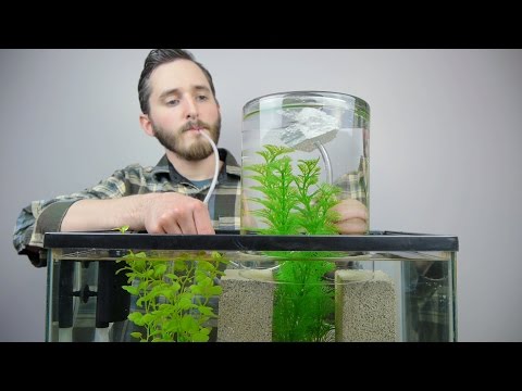 Make A Vacuum Suspended Fish Tank