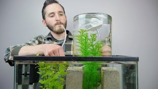 Make A Vacuum Suspended Fish Tank