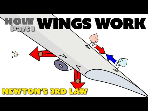 How Wings Work and Create Lift - Newton's 3rd Law of Motion