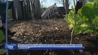 ECU students and faculty participate in an 'Alternative Spring Break'