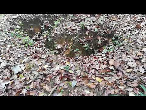 WW2 British foxhole during Battle of Kampar