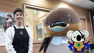 2026/1/21放送・知ったかぶりカイツブリにゅーす