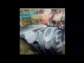 XXX HAYABUSA STATE OF THE UNION 1300 MORTAL KOMBAT R1