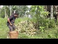 Thung Sohtrun Farmer Fineapple