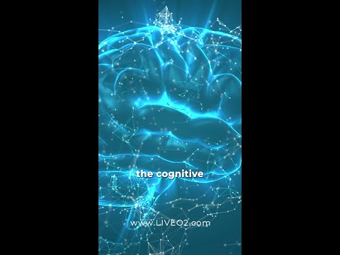 Astrid Sylwan: Clearer Mind, Better Paintings with LiveO2