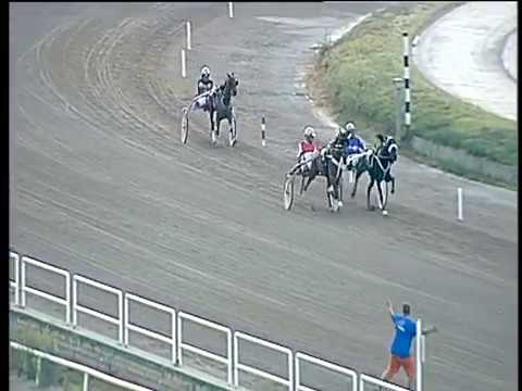 Trotto 19/08/2017 - Minitrotter