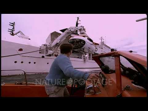 Titanic Archive Project: Nature Footage Collection - MIR deployment from Keldysh