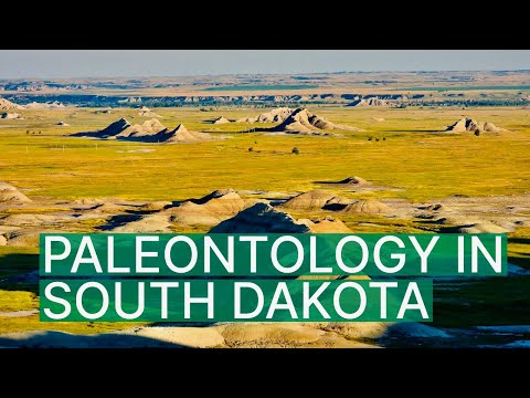 Paleontology in South Dakota