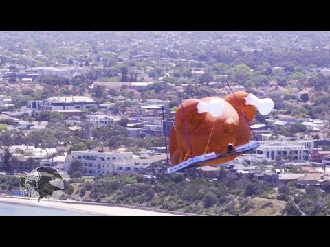 BIG ASS CHICKEN