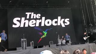 The Sherlocks &quot;Last Night&quot; at SUMMER SONIC 2018 Osaka (2018.08.19)