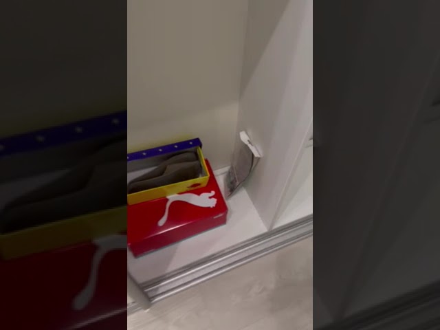 Фото Выполнено подключение зарядной станции Bluetti через устройство автоматического включения резервного (АВР) питания.  