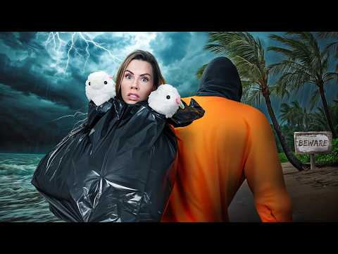 MY LLAMAS GOT KIDNAPPED !