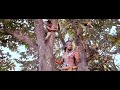 Assamese Amita Gosor Very Hopi Hopi Khao Song