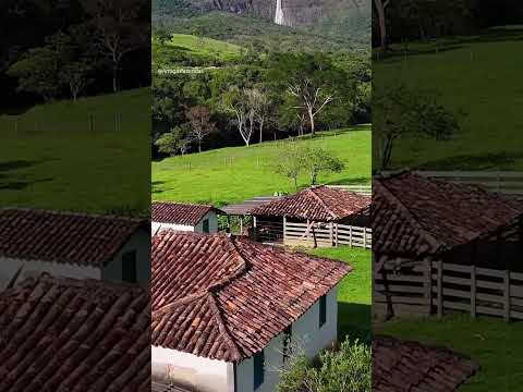 Acordar com a Casca D'anta z sua frente,tem preço?