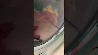 Dryer Flat Glass