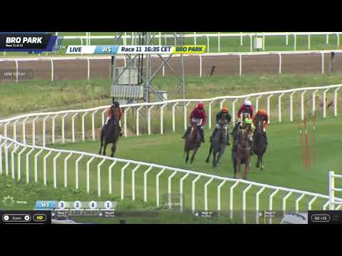 Lopp 11, 19 augusti 2020 - Bro Park