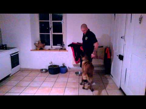 IRA VOM ENGELTHAL III