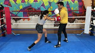 BODY PUNCH Combinations from Low Position