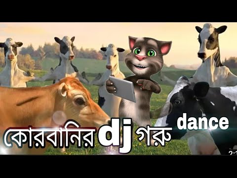 কোরবানির গরুর মজার গান ।। cow dj song tolking tom 2021 ll cow dance with bd tom moja