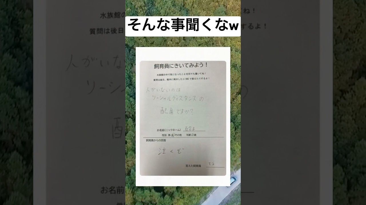 皮肉がすごいなwwww#shorts#皮肉#質問#飼育員#面白い#笑える