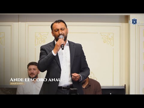 Ionut Iosup - ANDE LESCORO ANAU (Live Audio Session) 2025