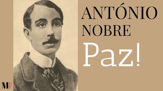 Texto Sobre A Paz No Mundo